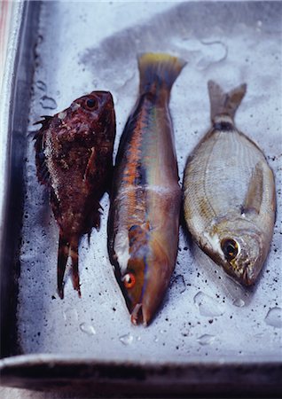 Poissons de roche brute pour Bouillabaisse Photographie de stock - Rights-Managed, Code: 825-03628560