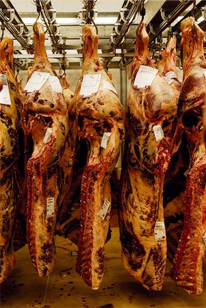 beef carcasses at Rungis Fotografie stock - Rights-Managed, Codice: 825-03628670