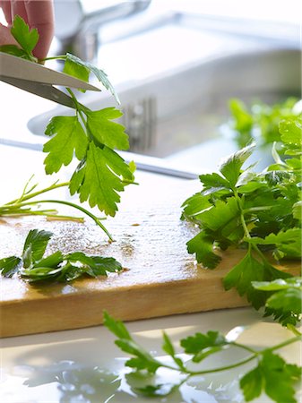 flat leaf parsley - Cutting flat parsley with scissors Foto de stock - Con derechos protegidos, Código: 825-03628845