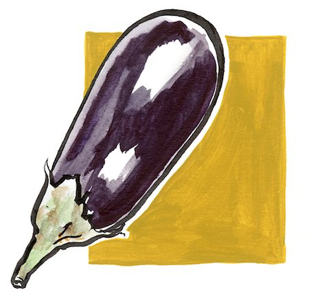 drawing vegetables - Eggplant Foto de stock - Con derechos protegidos, Código: 825-03629159