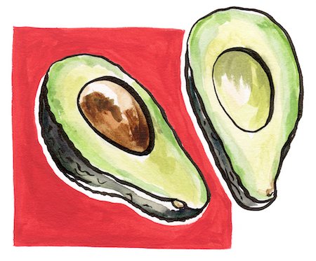 drawing vegetables - Avocado Stock Photo - Rights-Managed, Code: 825-03629160