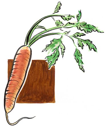 drawing vegetables - carrot Foto de stock - Con derechos protegidos, Código: 825-03629178