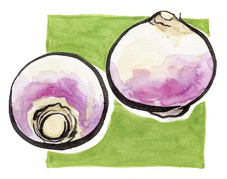 food drawing - Turnips Stock Photo - Rights-Managed, Code: 825-03629208