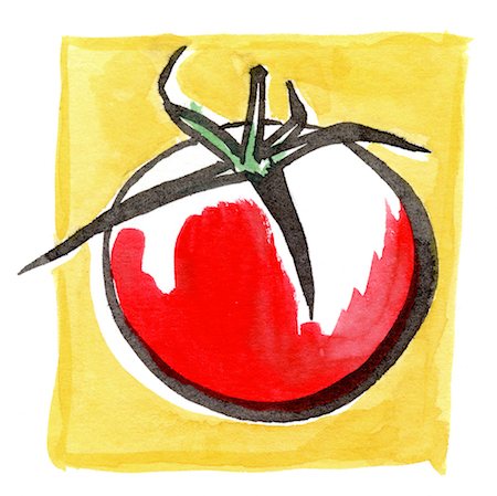 silhouette drawing - Tomato Stock Photo - Rights-Managed, Code: 825-03629234