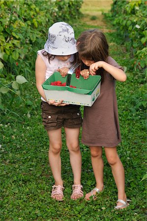 simsearch:825-03626863,k - Young girls with a basket of raspberries Stock Photo - Rights-Managed, Code: 825-03629617