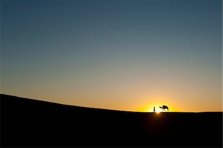 simsearch:841-05781316,k - Morocco, Silhouette of Berber 'Blue man' leading camel across sand dunes at dusk in Erg Chebbi area; Sahara Desert near Merzouga Photographie de stock - Rights-Managed, Code: 832-08007598