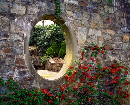 flower garden pictures in ireland - Mount Congreve Co Waterford, Moon Window and Chaenomeles, Early Spring Stock Photo - Rights-Managed, Code: 832-02254021