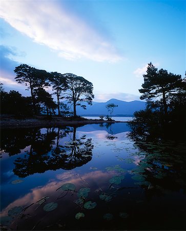 Co Kerry, Killarney, Lough Leane Photographie de stock - Rights-Managed, Code: 832-02254081