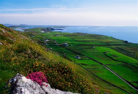 Co Galway, Sky Road, Clifden Stock Photo - Rights-Managed, Code: 832-02254103