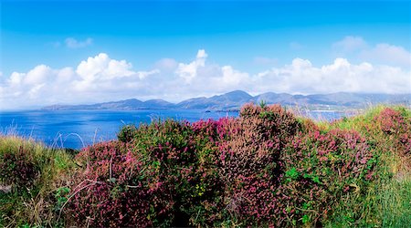 Co Cork, Allihies, Ballydongan Bay Foto de stock - Con derechos protegidos, Código: 832-02254228