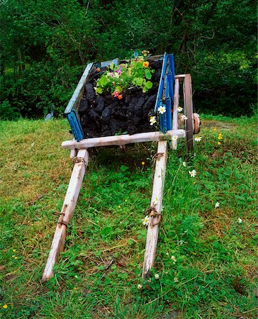 Traditional Turf, Boyle, Roscommon, Donkey Cart Stock Photo - Rights-Managed, Code: 832-02254269