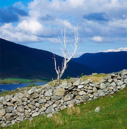 Co Galway, Connemara, Killary Harbour Foto de stock - Con derechos protegidos, Código: 832-02254279