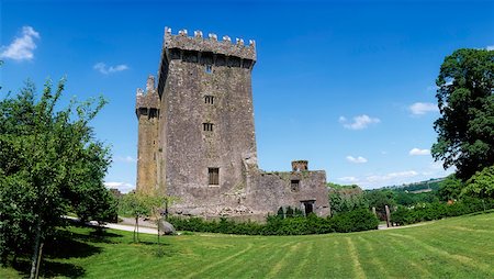 Co Cork, Blarney Castle Stock Photo - Rights-Managed, Code: 832-02254343