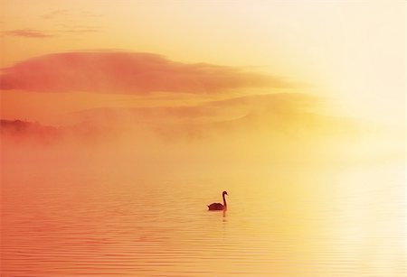 Mist, Lough Leane, Killarney Co Kerry Fotografie stock - Rights-Managed, Codice: 832-02254478