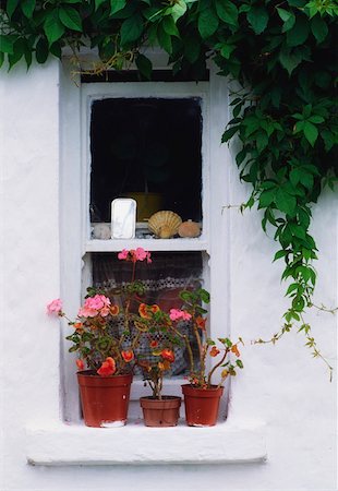 Near Limerick, Co Limerick, Ireland, Traditional cottage window Fotografie stock - Rights-Managed, Codice: 832-02254614