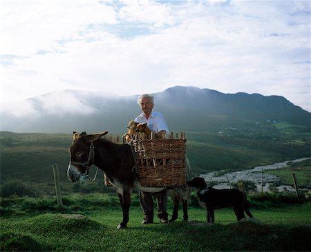 Bauer mit Esel und Hunde, Glenbeigh, Ring of Kerry, Irland Stockbilder - Lizenzpflichtiges, Bildnummer: 832-02254641