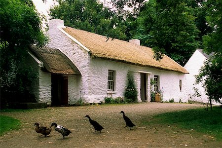 straw house - Homestead, Ulster American Folk Park, Co Tyrone, Ireland Foto de stock - Con derechos protegidos, Código: 832-02254745