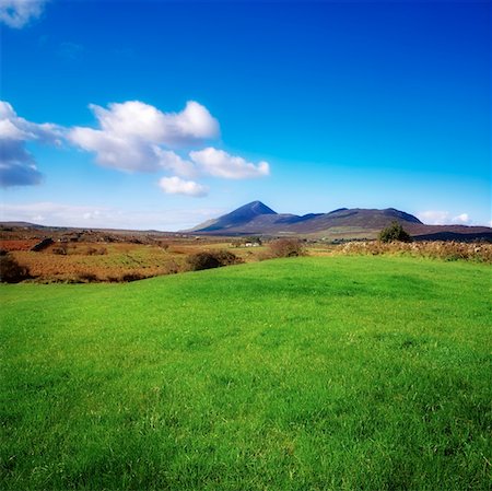 simsearch:832-02252437,k - Champs près de Croagh Patrick, Co Mayo, Irlande Photographie de stock - Rights-Managed, Code: 832-02254766