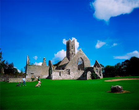 Franciscan Abbey, Adare Manor Golf Club, Co Limerick, Ireland Fotografie stock - Rights-Managed, Codice: 832-02254891