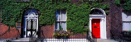 parra virgen - Georgian Doors, Fitzwilliam Square, Dublin, Ireland Foto de stock - Con derechos protegidos, Código: 832-02254925