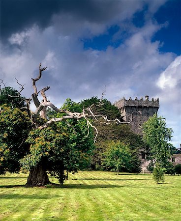 Blarney Castle, Co Cork, Ireland Stock Photo - Rights-Managed, Code: 832-02255072