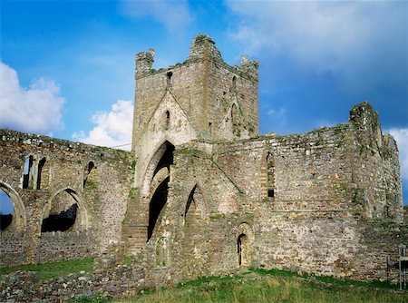 Dunbrody Abbey, Co Wexford, Ireland Stock Photo - Rights-Managed, Code: 832-02255094