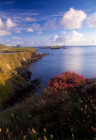 Foilhomurrin Bay, Valentia Island County Kerry, Ireland; Island seascape Fotografie stock - Rights-Managed, Codice: 832-02255326