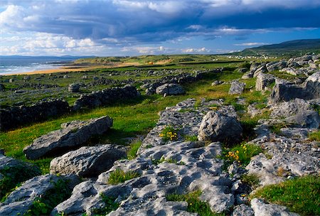 The Burren, County Clare, Ireland Rocky landscape Foto de stock - Con derechos protegidos, Código: 832-02255399