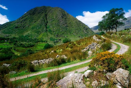 Broaghabinnia Mountain, Black Valley, Killarney National Park, County Kerry, Ireland; Boreen in park Fotografie stock - Rights-Managed, Codice: 832-02255424