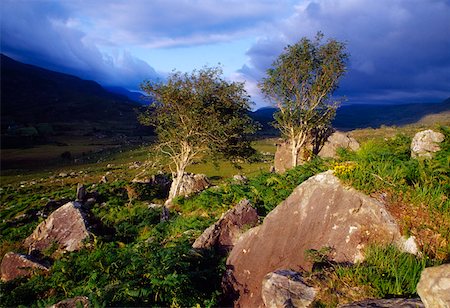 simsearch:832-03233035,k - Molls Gap, Killarney National Park, County Kerry, Ireland; Rocky scenic Fotografie stock - Rights-Managed, Codice: 832-02255420