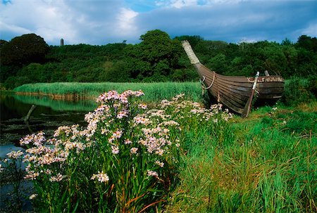 escaler - Irish National Heritage Park, Ferrycarrig, County Wexford, Ireland; Viking longship Foto de stock - Direito Controlado, Número: 832-02255441