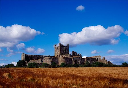 Dunbrody Abbey, County Wexford, Ireland; Historic abbey Foto de stock - Con derechos protegidos, Código: 832-02255442