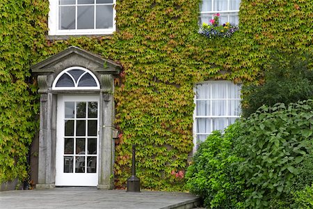 edera - Butler House, Kilkenny City, County Kilkenny, Ireland; Ivy covered historic guesthouse Fotografie stock - Rights-Managed, Codice: 832-02255459