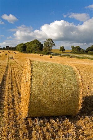 fardo de heno - Ardmore, County Waterford, Ireland; Bales of hay in field Foto de stock - Con derechos protegidos, Código: 832-02255478