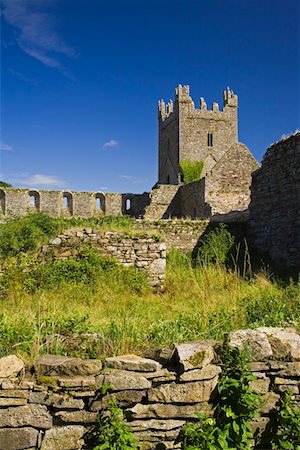Jerpoint Abbey, County Kilkenny, Ireland; Historic 12th century abbey Foto de stock - Direito Controlado, Número: 832-02255489