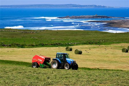 doolin - Doolin, County Clare, Ireland; Harvesting hay Foto de stock - Direito Controlado, Número: 832-02255535