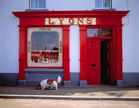 Dog in front of a shop, Ardagh, County Longford, Ireland Stock Photo - Rights-Managed, Code: 832-02252507