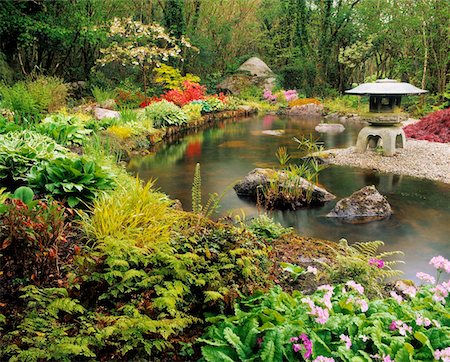 funkie - Laterne und Pool, japanische Garten Ardcarrig, Co. Galway, Irland Stockbilder - Lizenzpflichtiges, Bildnummer: 832-02252531