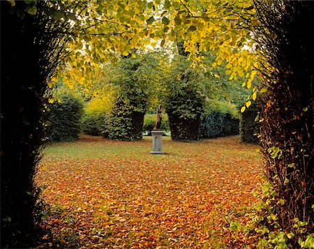 rural scene autumn in ireland - Patte Doie (The Angles), Kilruddery, Bray, Co Wicklow, Ireland Stock Photo - Rights-Managed, Code: 832-02252576