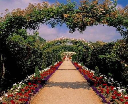 flower garden pictures in ireland - Rose Arches & Path, National Garden Exhibition Centre, Kilquade, Co Wicklow, Ireland Stock Photo - Rights-Managed, Code: 832-02252603