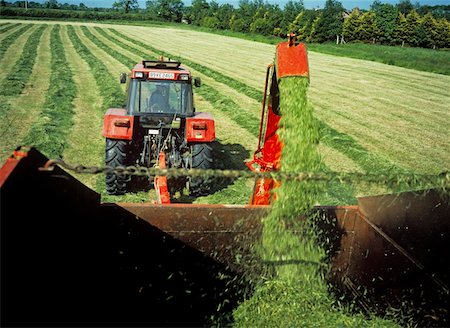 simsearch:832-03358648,k - Combine harvester harvesting a field, Republic Of Ireland Foto de stock - Con derechos protegidos, Código: 832-02252617