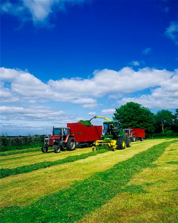 simsearch:832-03358648,k - Combine harvesters in a field, Portlaoise, County Laois, Republic Of Ireland Foto de stock - Con derechos protegidos, Código: 832-02252618