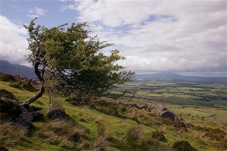 Pastoral from Comeragh Mountains, Co Waterford, Ireland Stock Photo - Rights-Managed, Code: 832-02252751