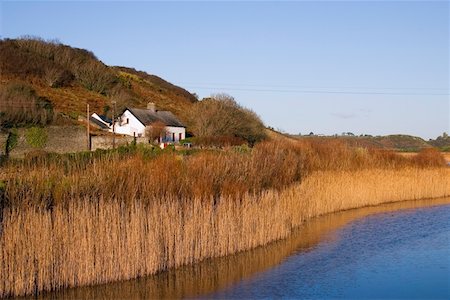 reed - Cottage near River Anne, Annestown, Co Waterford, Ireland Stock Photo - Rights-Managed, Code: 832-02252824