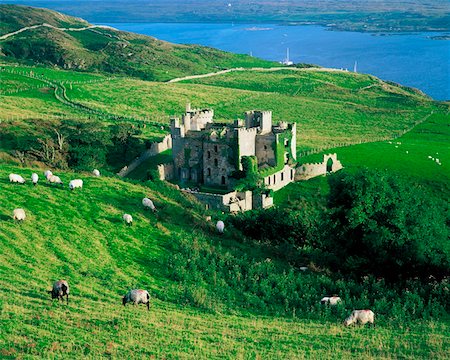 Co Galway, Clifden Castle Stock Photo - Rights-Managed, Code: 832-02252907