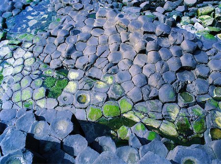 pozza di marea - Co Antrim, The Giants Causeway, Close-up of the Basalt Columns Fotografie stock - Rights-Managed, Codice: 832-02252994