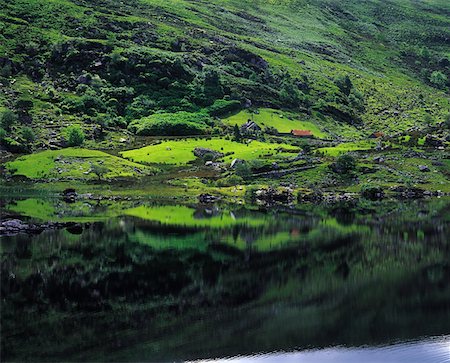 Looscavnagh Lough, Between Molls Gap & Upper Lake, Ring of Kerry, Co Kerry, Ireland Foto de stock - Con derechos protegidos, Código: 832-02252996
