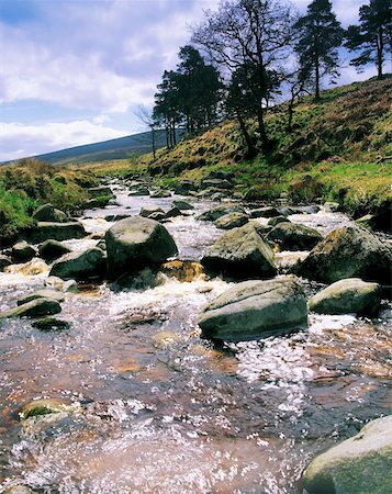 simsearch:832-02253116,k - Co Wicklow, River Liffey at Sally Gap, Near to the source Foto de stock - Con derechos protegidos, Código: 832-02253074