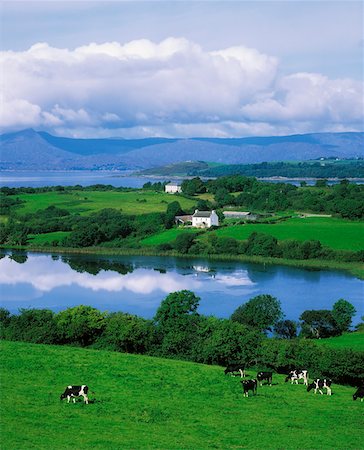 Bantry Bay, Co Cork, Ireland Foto de stock - Con derechos protegidos, Código: 832-02253093