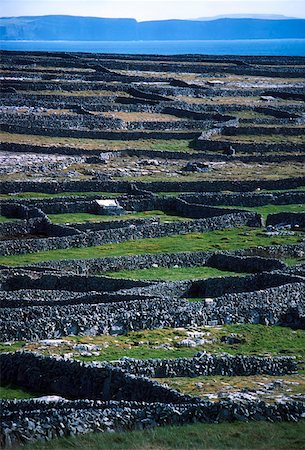 Inis Meáin (also known as Inishmaan), Aran Islands, Co Galway, Ireland Stock Photo - Rights-Managed, Code: 832-02253156